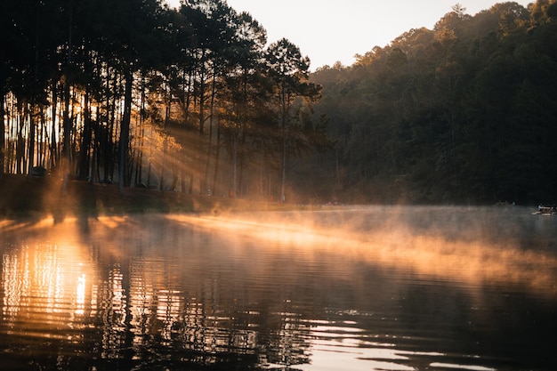 Hermoso lago natural y bosque en la mañana Pang Ung Mae Hong Son Tailandia