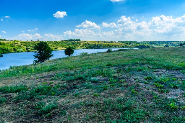 Hermoso lago con orillas verdes en verano