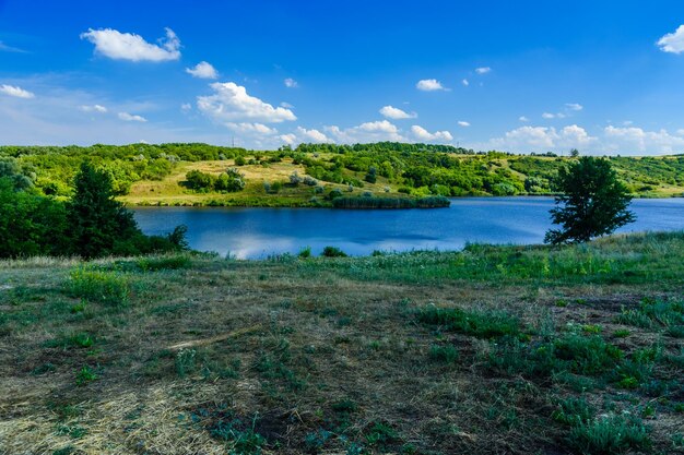 Hermoso lago con orillas verdes en verano