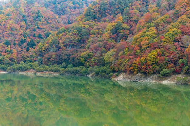 Hermoso lago en otoño