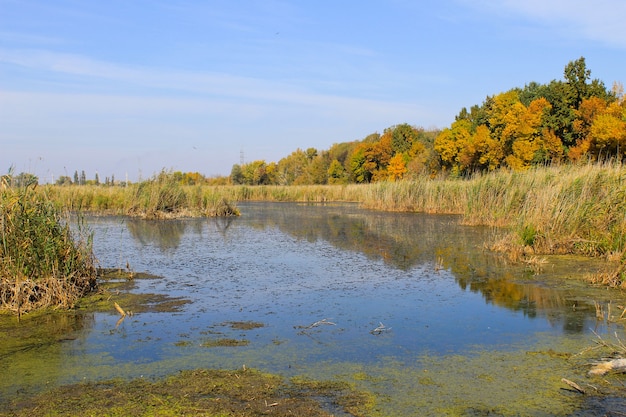 Hermoso lago en otoño