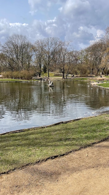 Hermoso lago en el parque