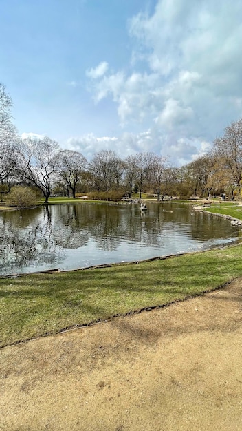 Hermoso lago en el parque