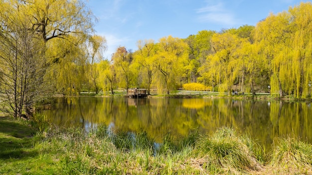 Hermoso lago de primavera y bosque Temporada de primavera Fondo natural abstracto Siluetas borrosas