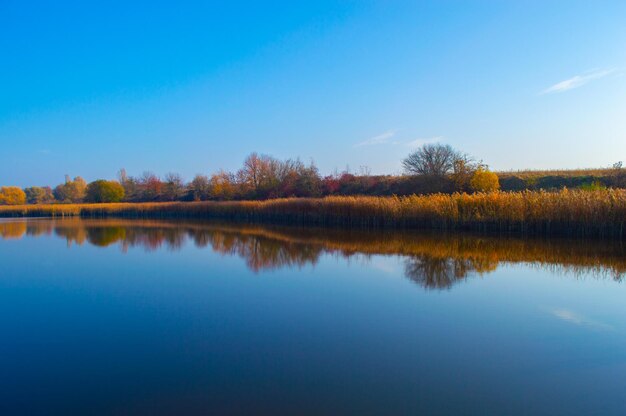 Hermoso lago con reflejo de cielo azul y árboles de otoño