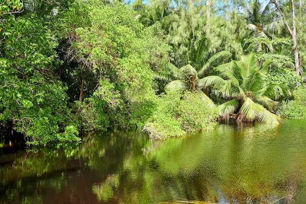 Hermoso lago en Seychelles