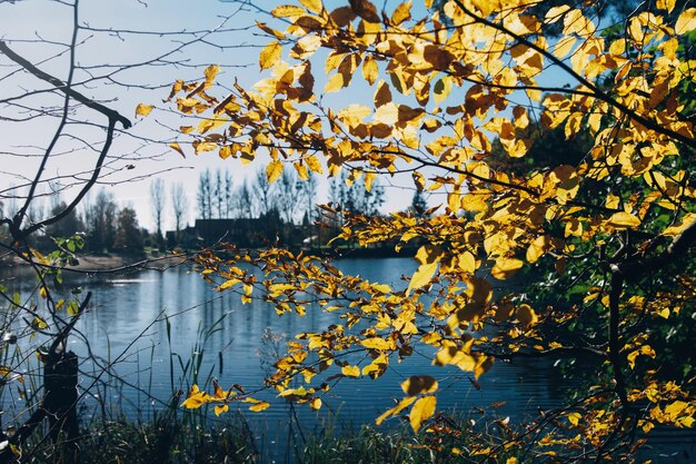 Hermoso lago en el soleado bosque de otoño en la mañana fría Momento tranquilo Mañana atmosférica Árboles con hojas de otoño y lago Otoño en el bosque