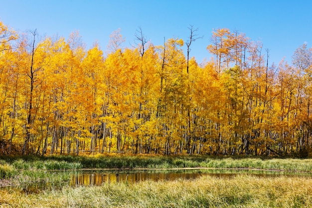 El hermoso lago en la temporada de otoño.