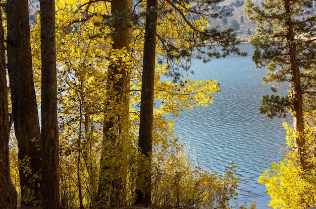 El hermoso lago en la temporada de otoño.