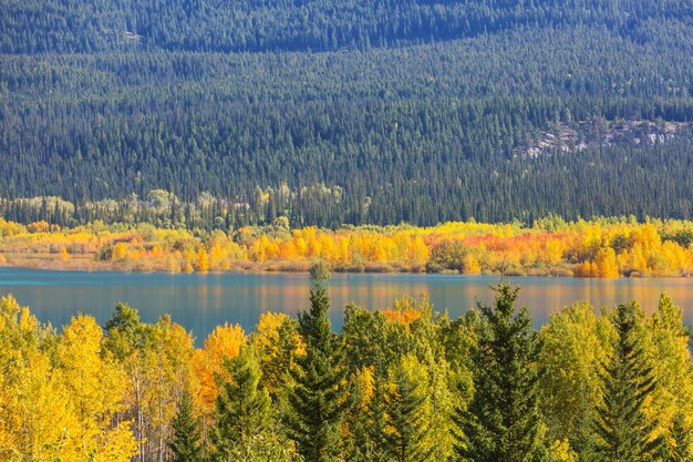 El hermoso lago en la temporada de otoño.