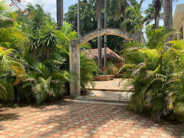 Foto hermoso lugar natural pintoresco en un parque tropical vacaciones en hotel ecológico en el bosque viajes de verano al aire libre