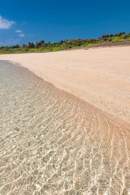 Hermoso mar cristalino reluciente arena de coral marino en una playa tropical de Okinawa