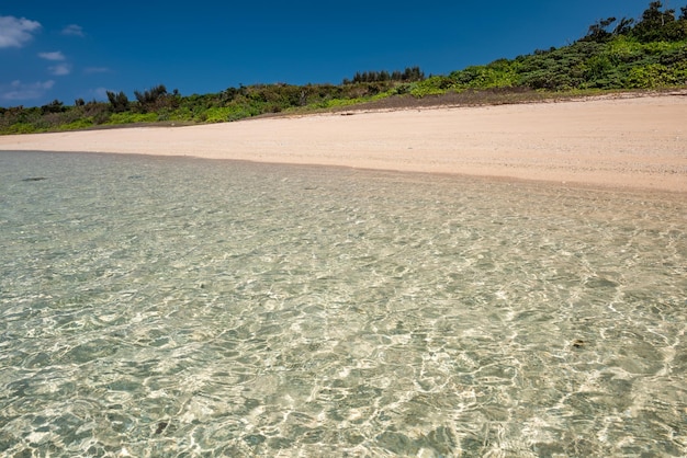 Hermoso mar cristalino reluciente arena de coral marino en una playa tropical de Okinawa