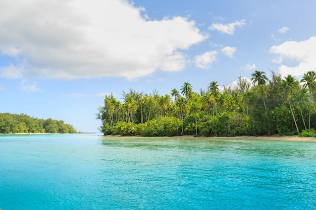 Hermoso mar y la isla de Moorae en Tahiti