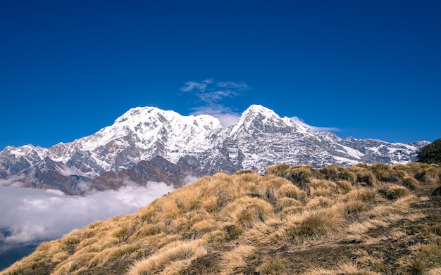 Hermoso monte Annapurna en Nepal.