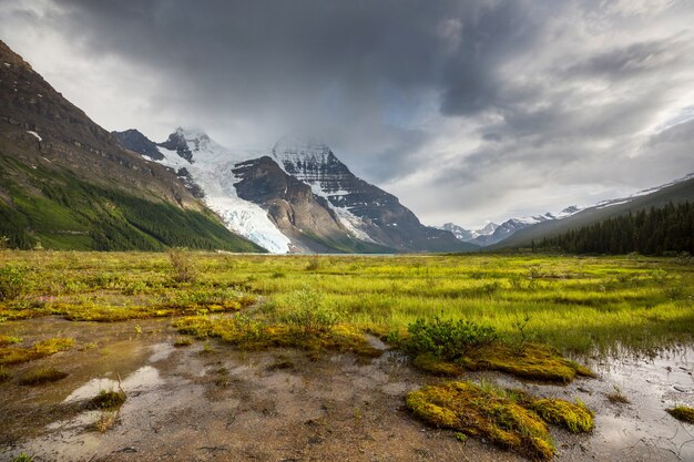 Hermoso monte Robson en temporada de verano, Canadá