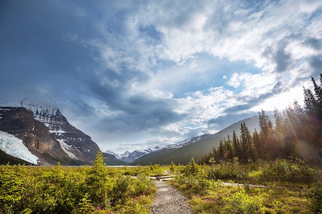 Hermoso monte Robson en temporada de verano, Canadá