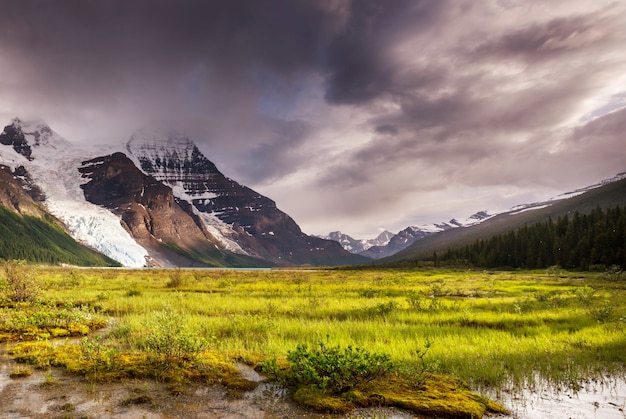 Hermoso monte Robson en temporada de verano, Canadá