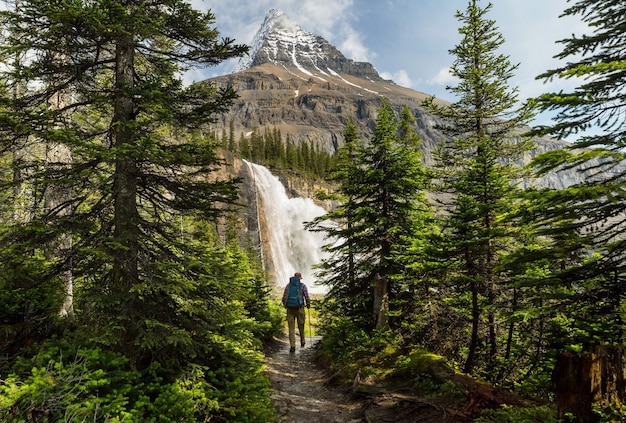 Foto hermoso monte robson en temporada de verano, canadá