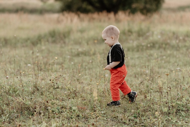 Hermoso niño caminando sobre la hierba en el campo