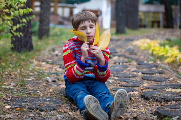 Hermoso niño se sienta con hojas amarillas Niño en un paseo de otoño