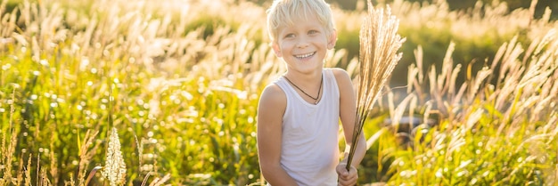 Hermoso niño sonriente feliz entre los campos de maíz tocando plantas con sus manos pancarta larga