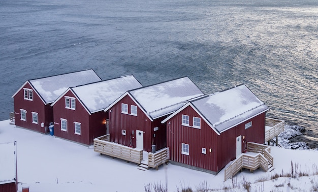 Hermoso norte de escandinavo Lofoten en invierno