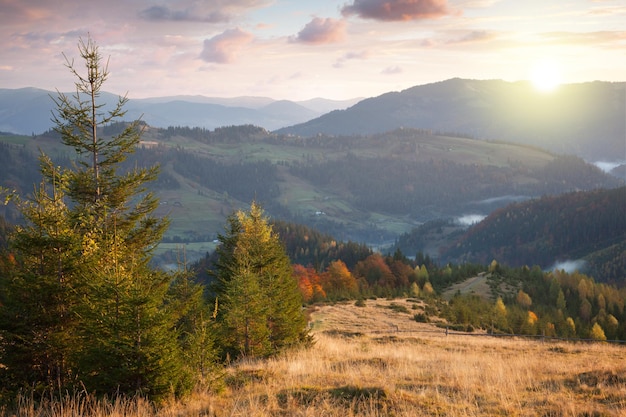 Hermoso otoño en las montañas al atardecer Árboles picos nubes y sol