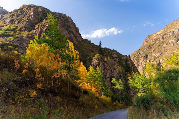 Hermoso otoño en las montañas Almaty Kazajstán