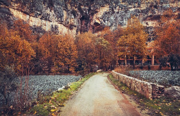 hermoso otoño en las montañas