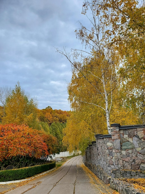 Hermoso otoño en el parque amarillo verde naranja follaje otoño cielo camino