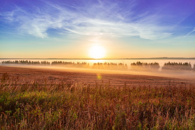 Hermoso paisaje al amanecer en verano