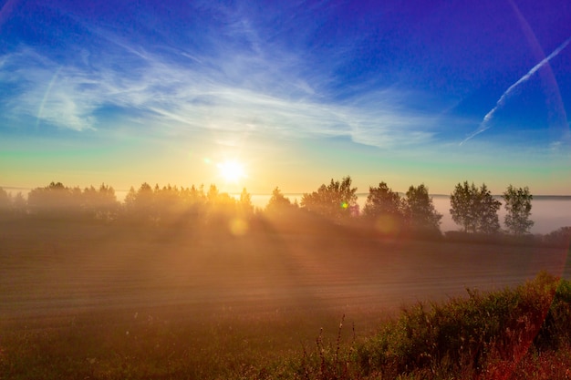 Hermoso paisaje al amanecer en verano