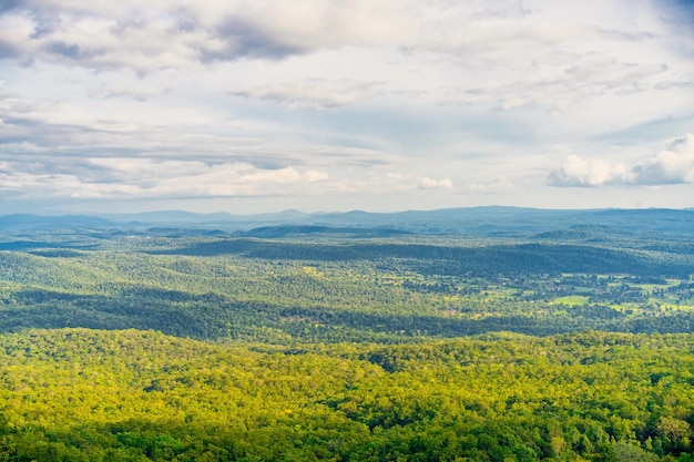 Hermoso paisaje con árboles de montaña y cielo.