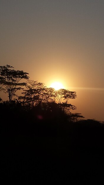 Foto el hermoso paisaje del atardecer de bangkadish el paisaje de tanzania