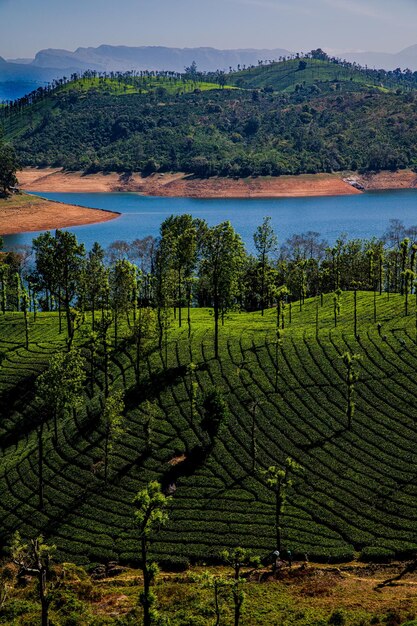 Foto un hermoso paisaje en el backwater de la presa de sholaiyar en la finca de té de valparai