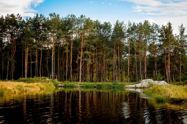 Hermoso paisaje con bosque cerca del lago. Temporada de acampada