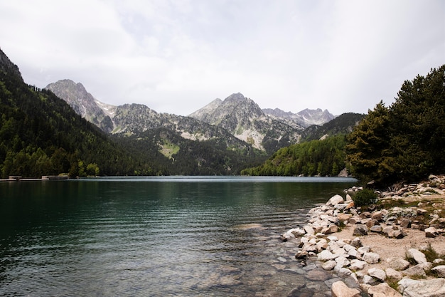 Hermoso paisaje de bosque de montaña