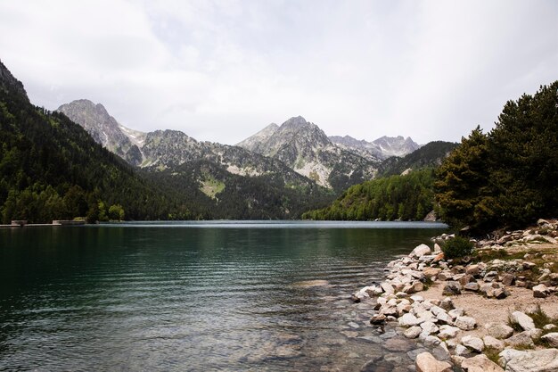 Hermoso paisaje de bosque de montaña