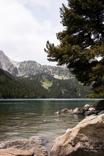 Hermoso paisaje de bosque de montaña