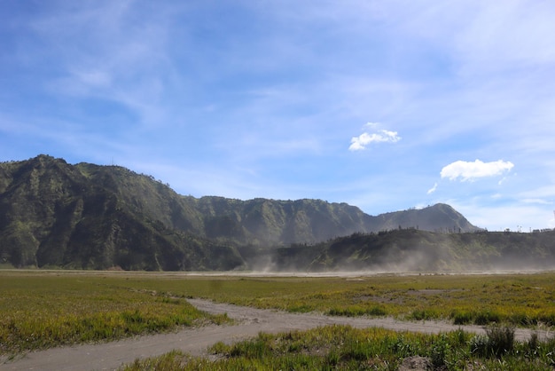 Un hermoso paisaje en Bromo con senderos, pasto y colinas, en el mediodía