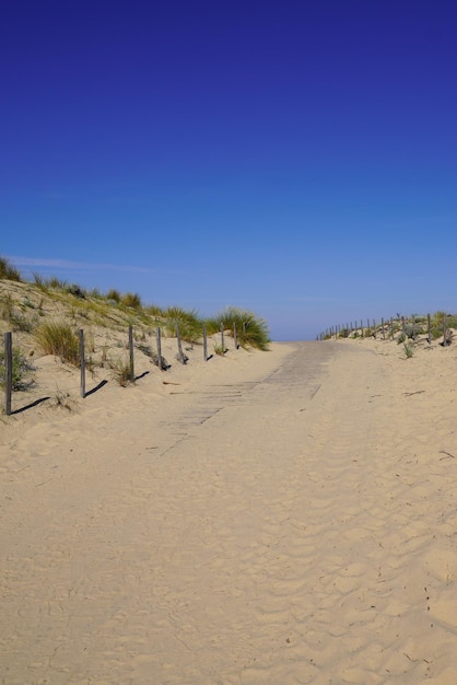 Hermoso paisaje camino acceso playa atlántica vista panorámica dunas de arena en lacanau océano francia