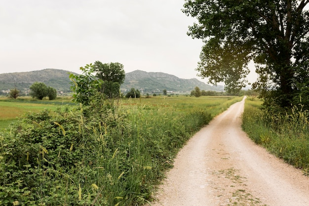 Hermoso paisaje con camino rural