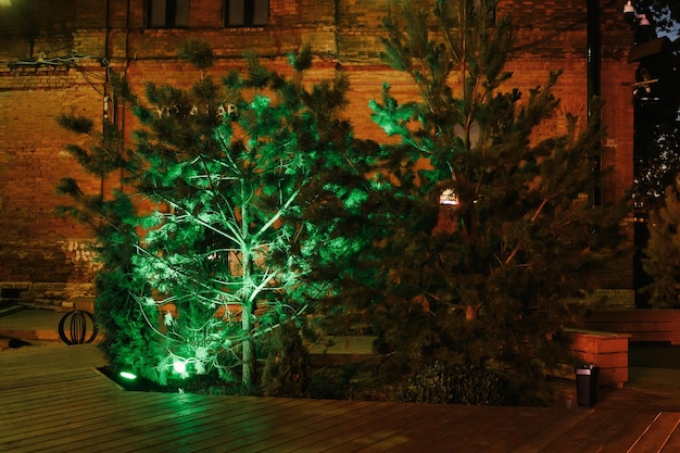 Hermoso paisaje en caminos nocturnos y productos de madera iluminados.