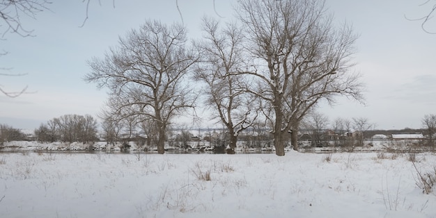 Hermoso paisaje de campo de invierno con mucha nieve