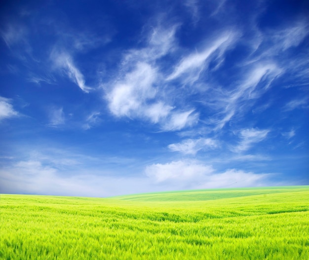 Hermoso paisaje de campo verde y cielo azul con nubes