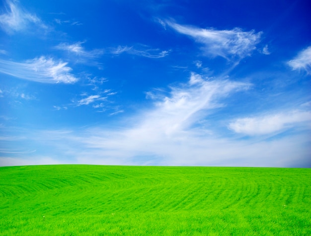 Hermoso paisaje de campo verde y cielo azul