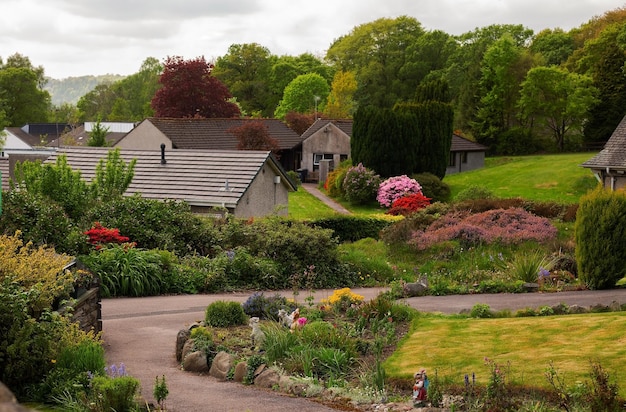 Hermoso paisaje de casas y flores en Inglaterra