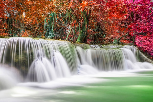 Hermoso paisaje de cascada de naturaleza de bosque profundo colorido en día de verano