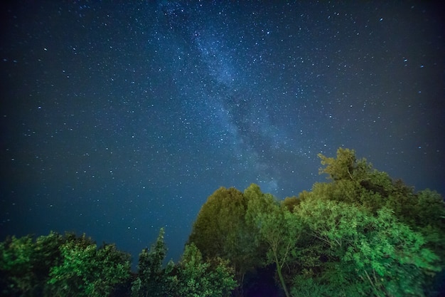 Hermoso paisaje de cielo nocturno con estrellas y árboles.
